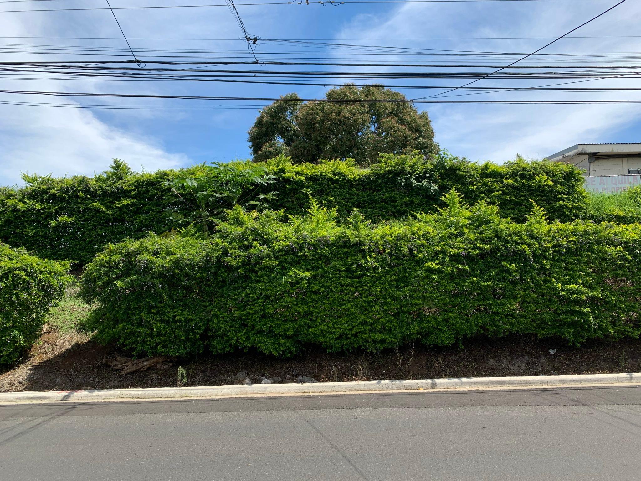 mixed used project ready parcel in mercedes view 005.jpeg