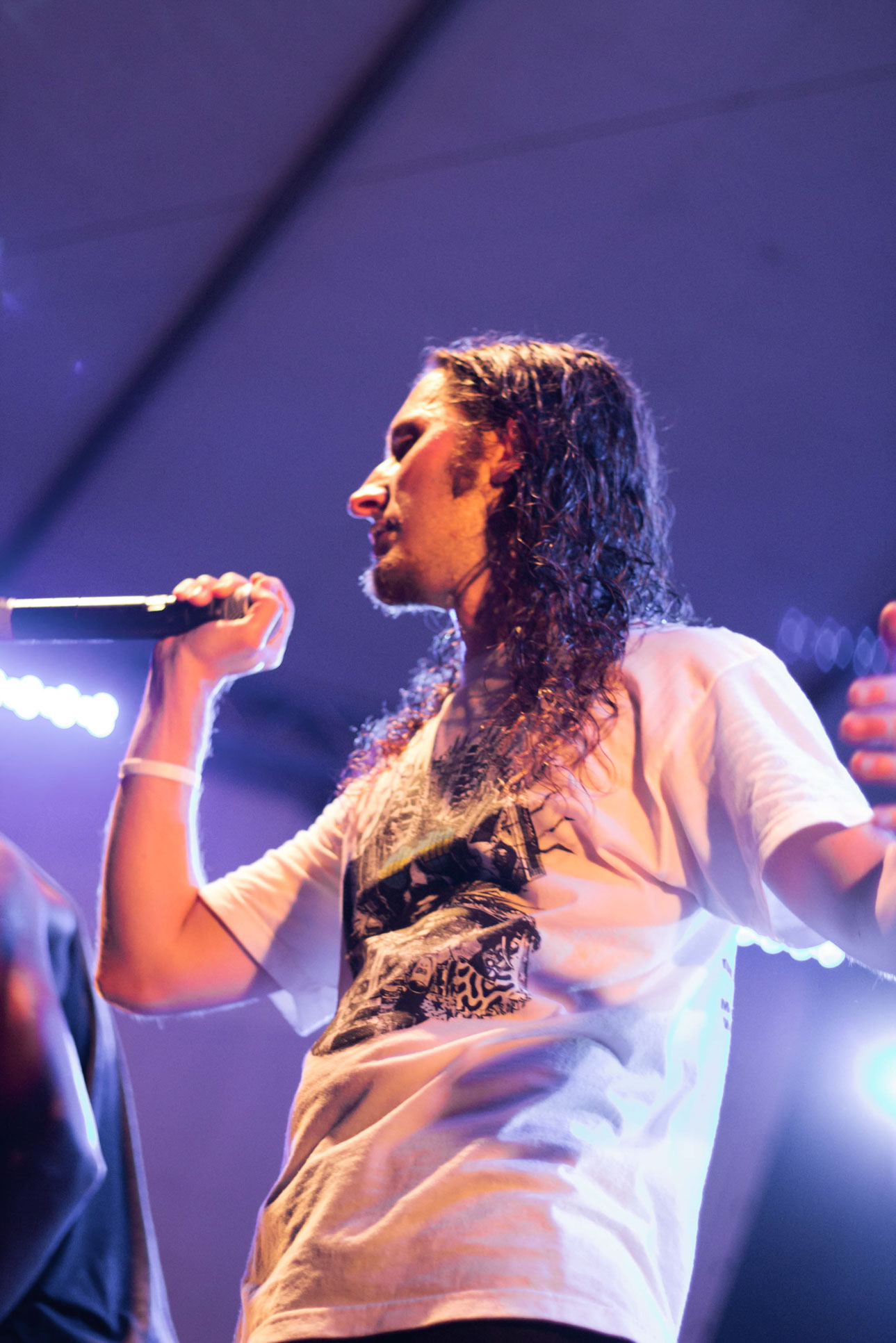 singer envision festival costa rica 18.jpg