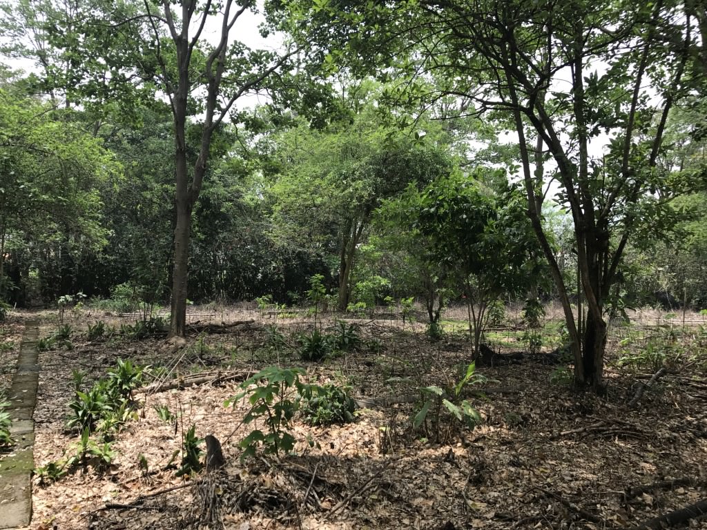 land for construction project in hacienda vieja view 009.jpg