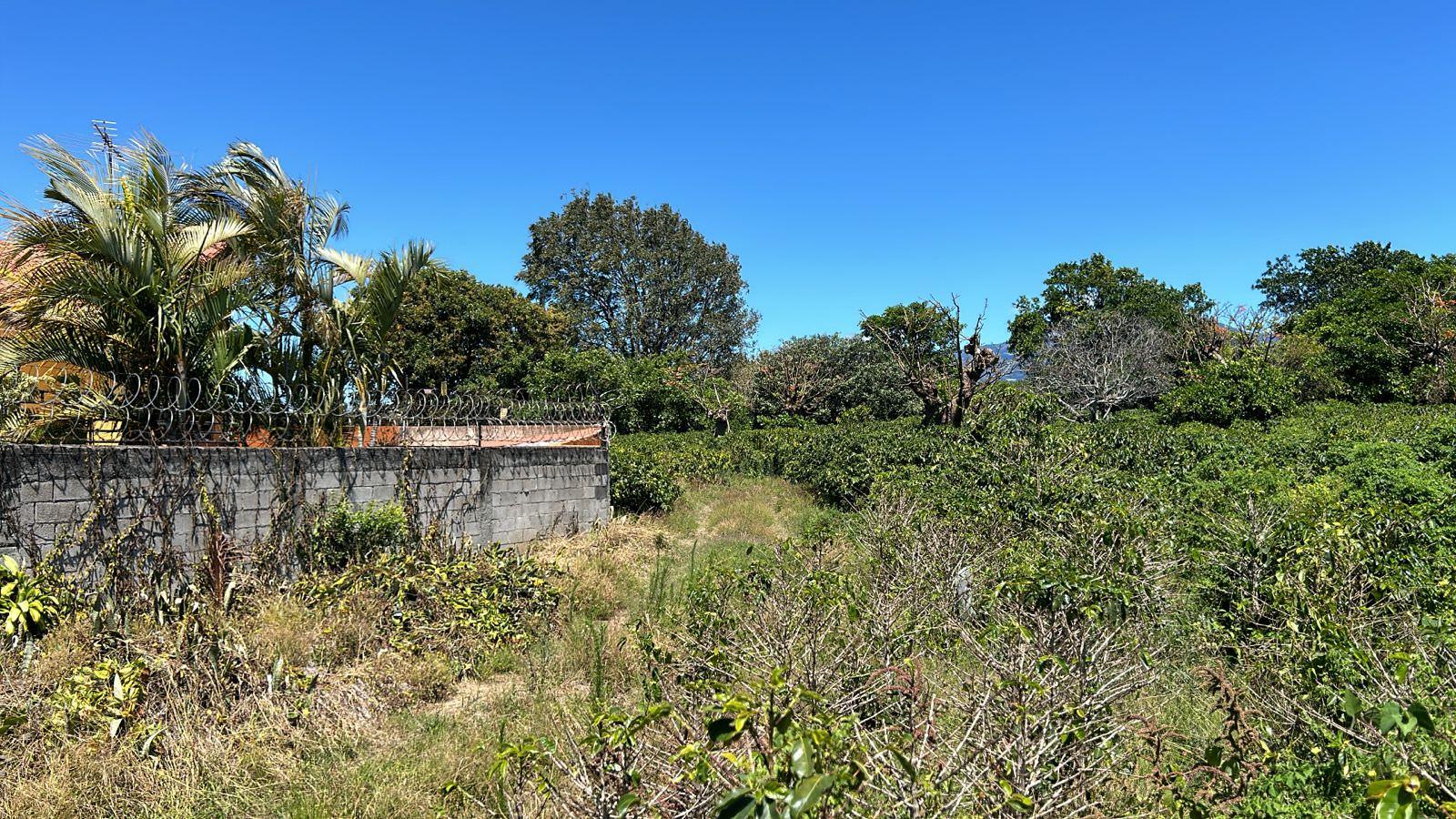 repurpose a coffee farm into a turn key mixed use development complex view 005.jpeg