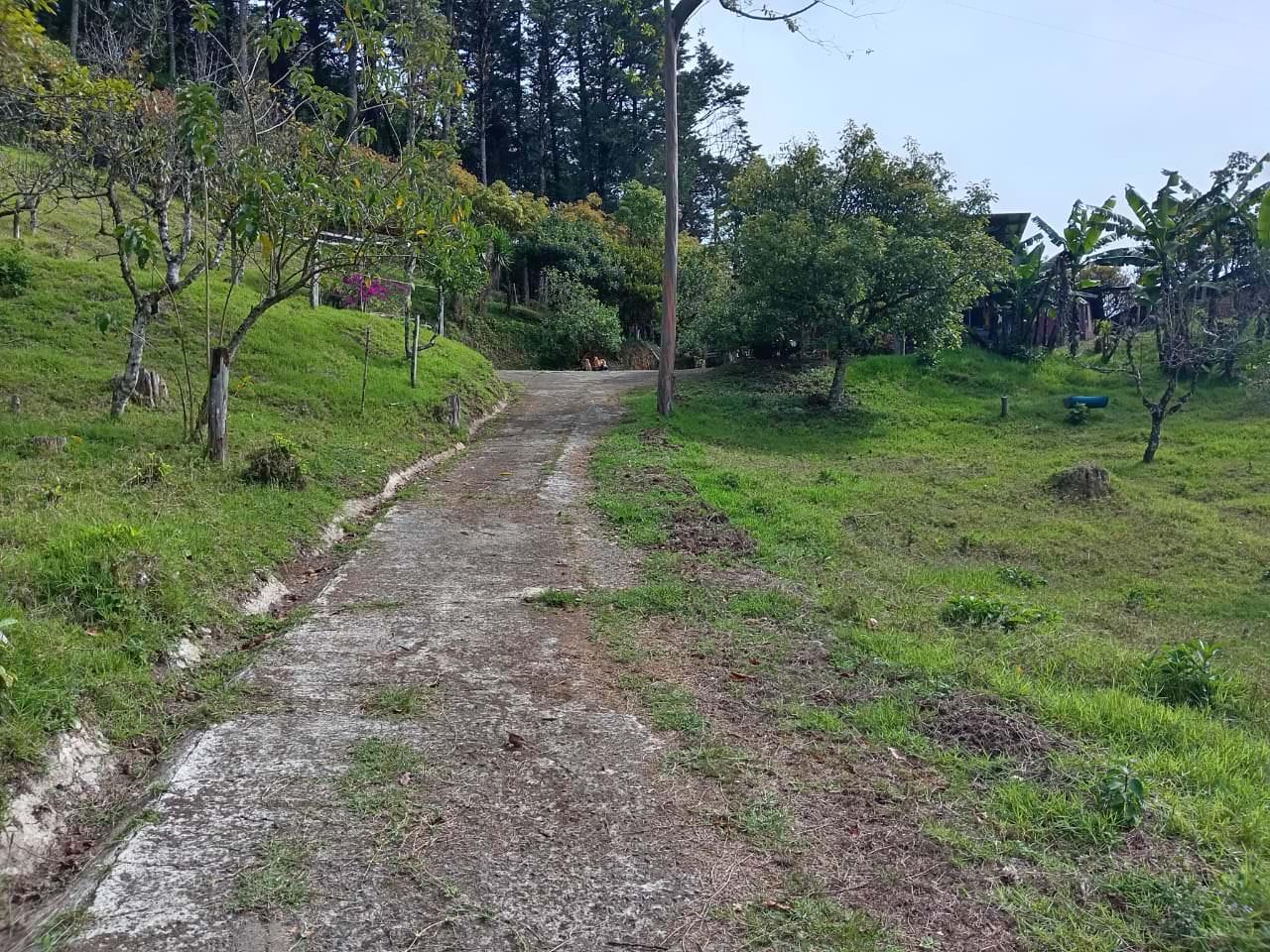 lots in the mountains of cartago for sale view 010.jpeg