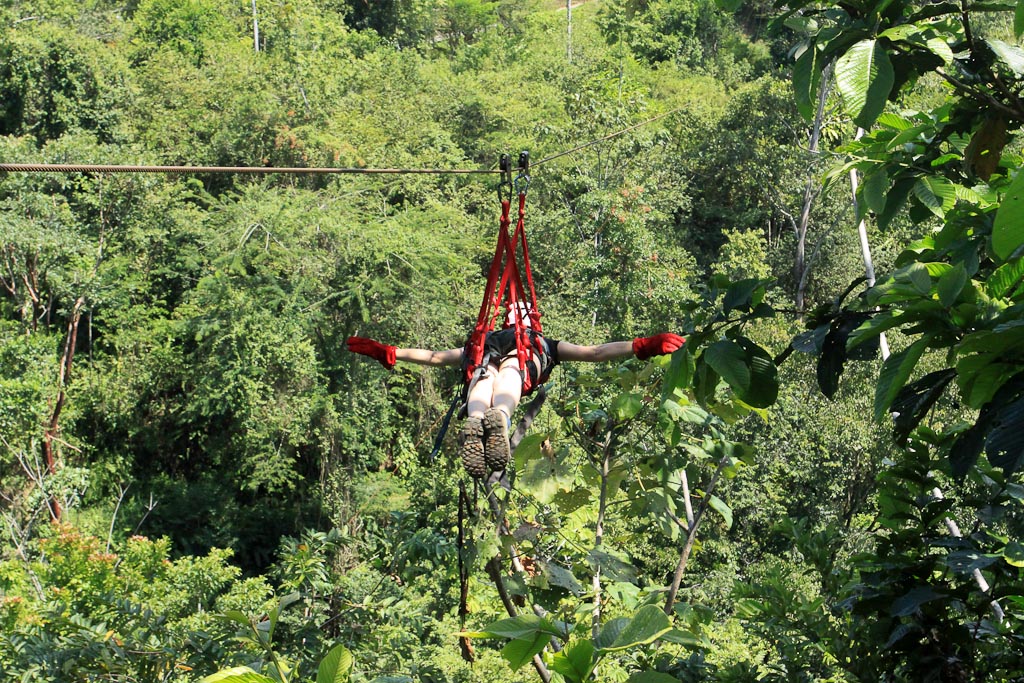 jungle adventure superman 4.jpg