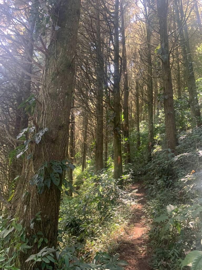 tourist development site with three rental units in cartago view 011.jpeg