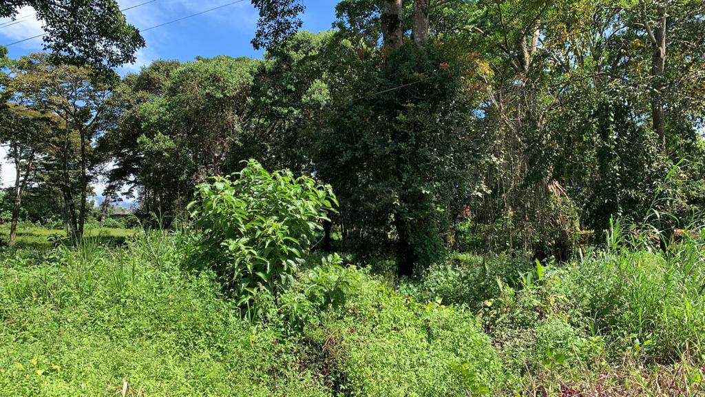 land for residential development in lomas de ayarco view 010.jpg