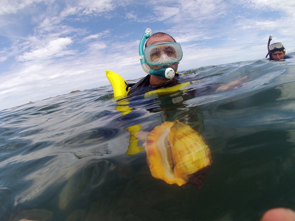 whale tail kayak tour coch 4.jpg