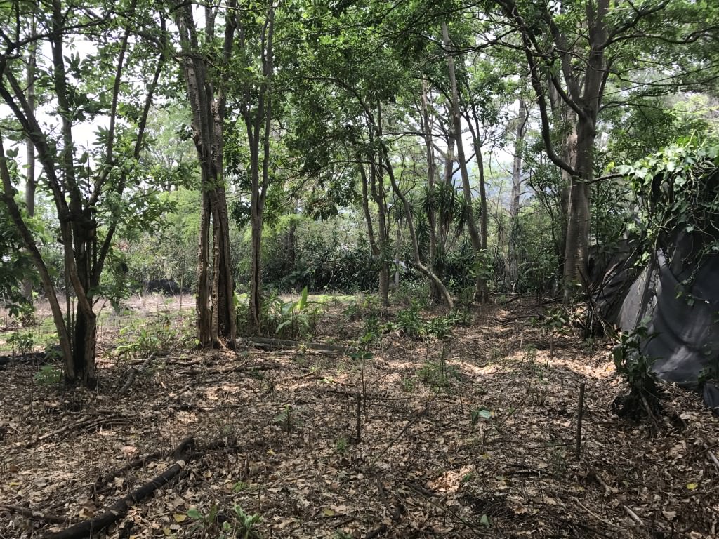 land for construction project in hacienda vieja view 011.jpg