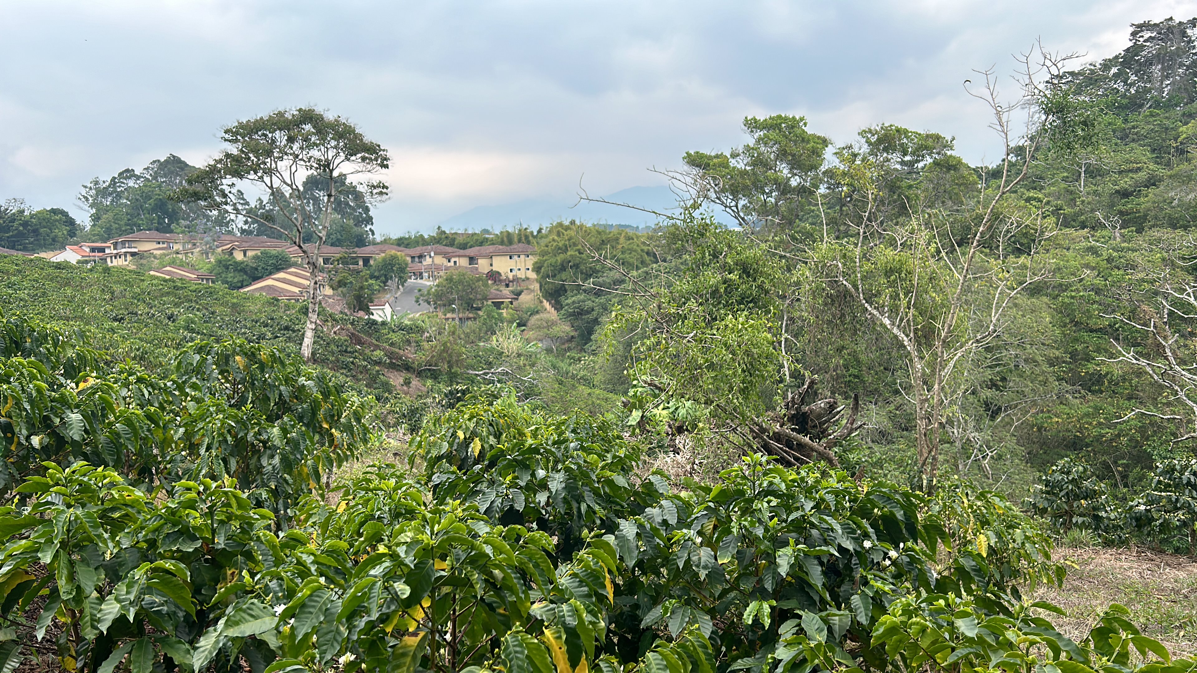 cul de sac residential development lot view 015.jpg