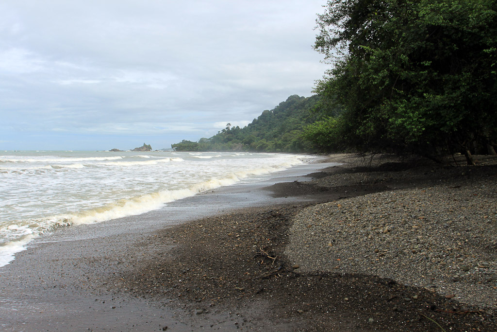 dominical waverider dominicalito 3.jpg