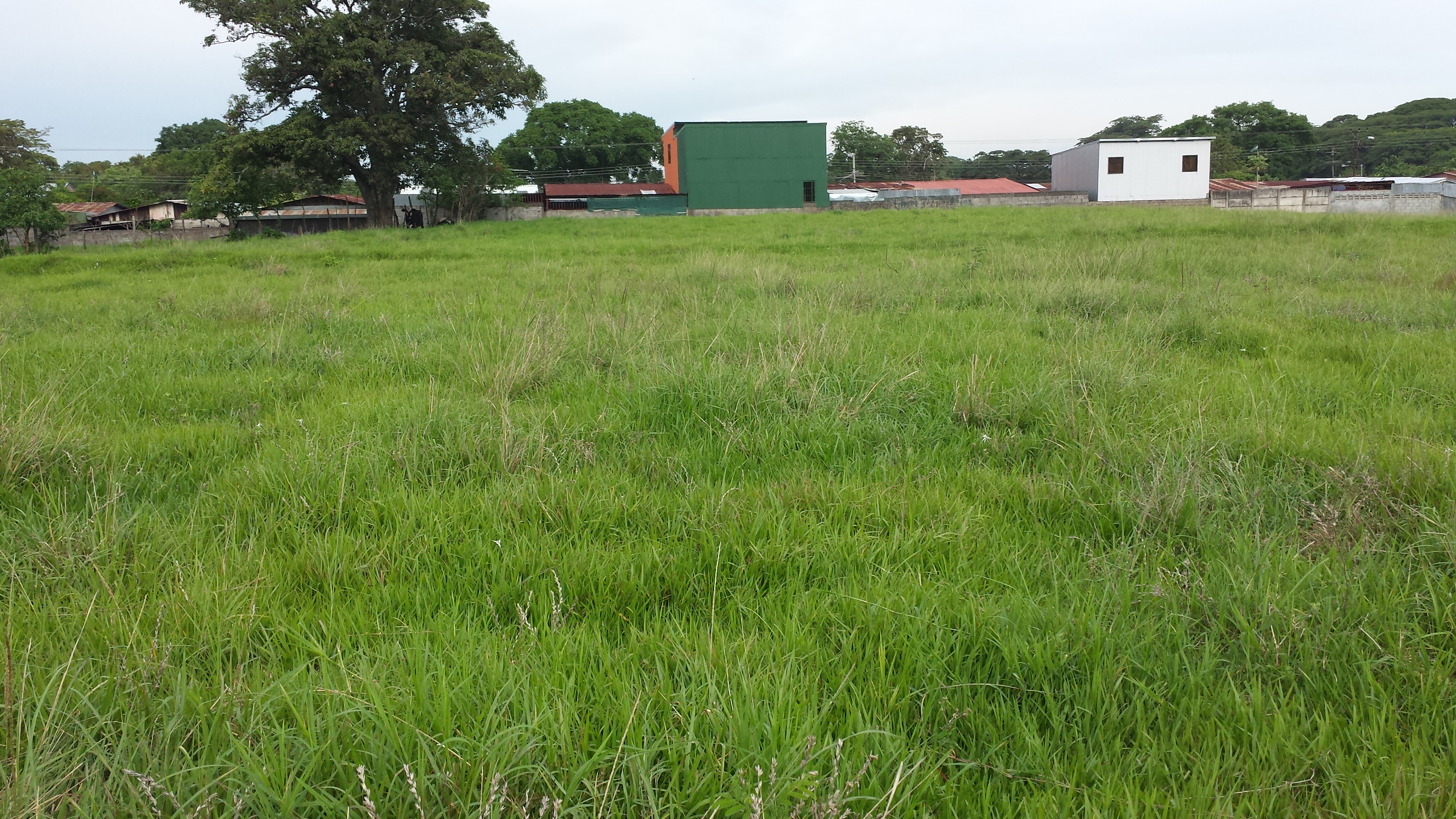 residential development site in alajuela view 003.jpg