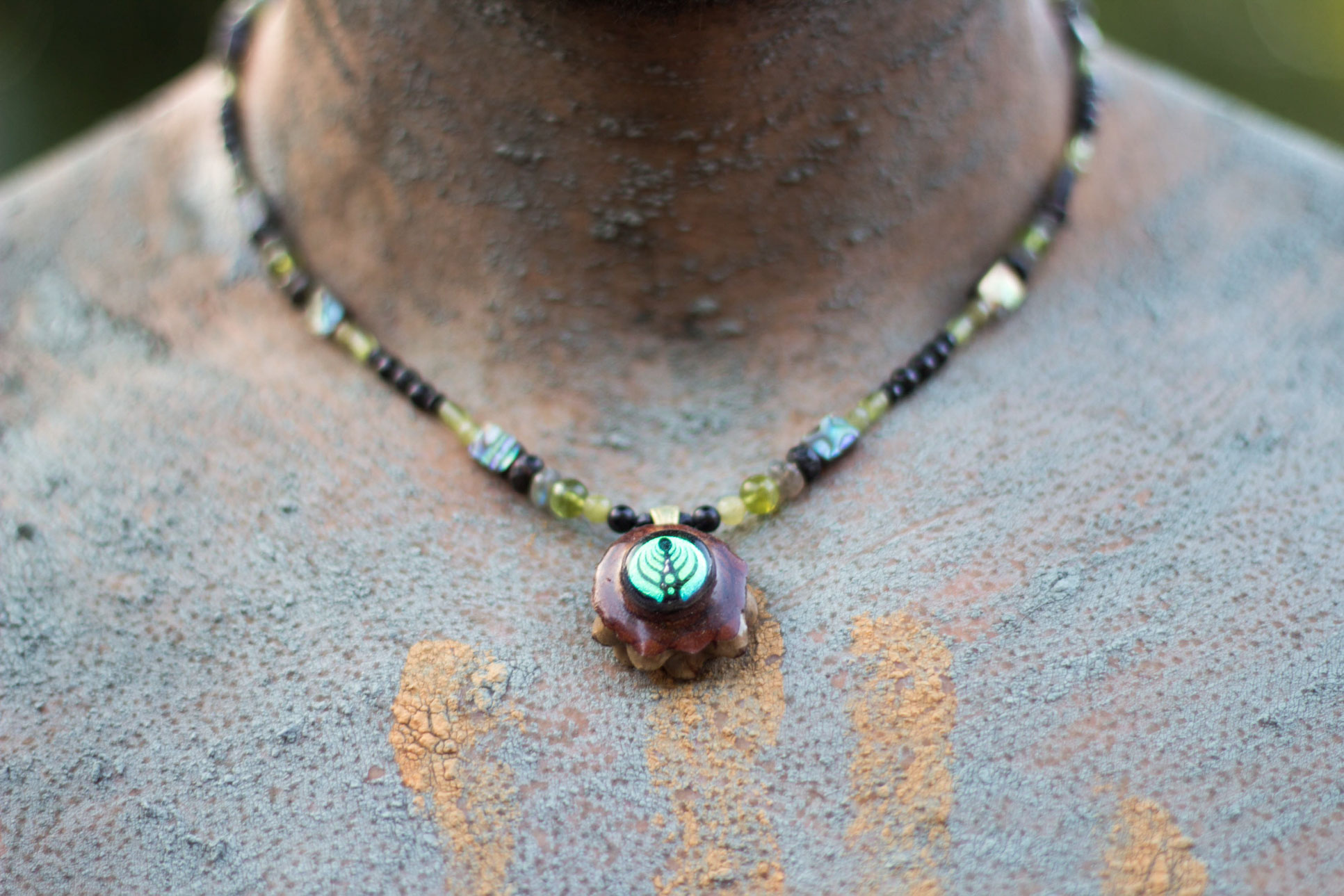 Pinecone Closeup Envision Festival Costa Rica