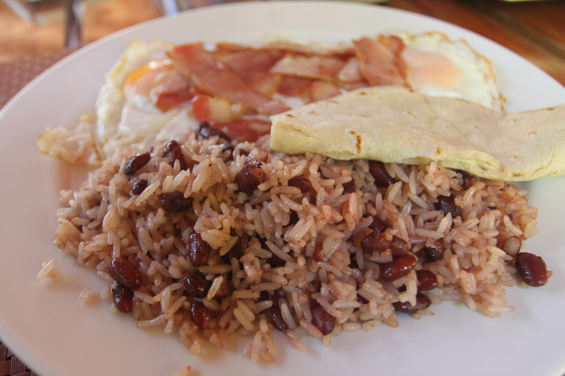 Gallo Pinto Close Up