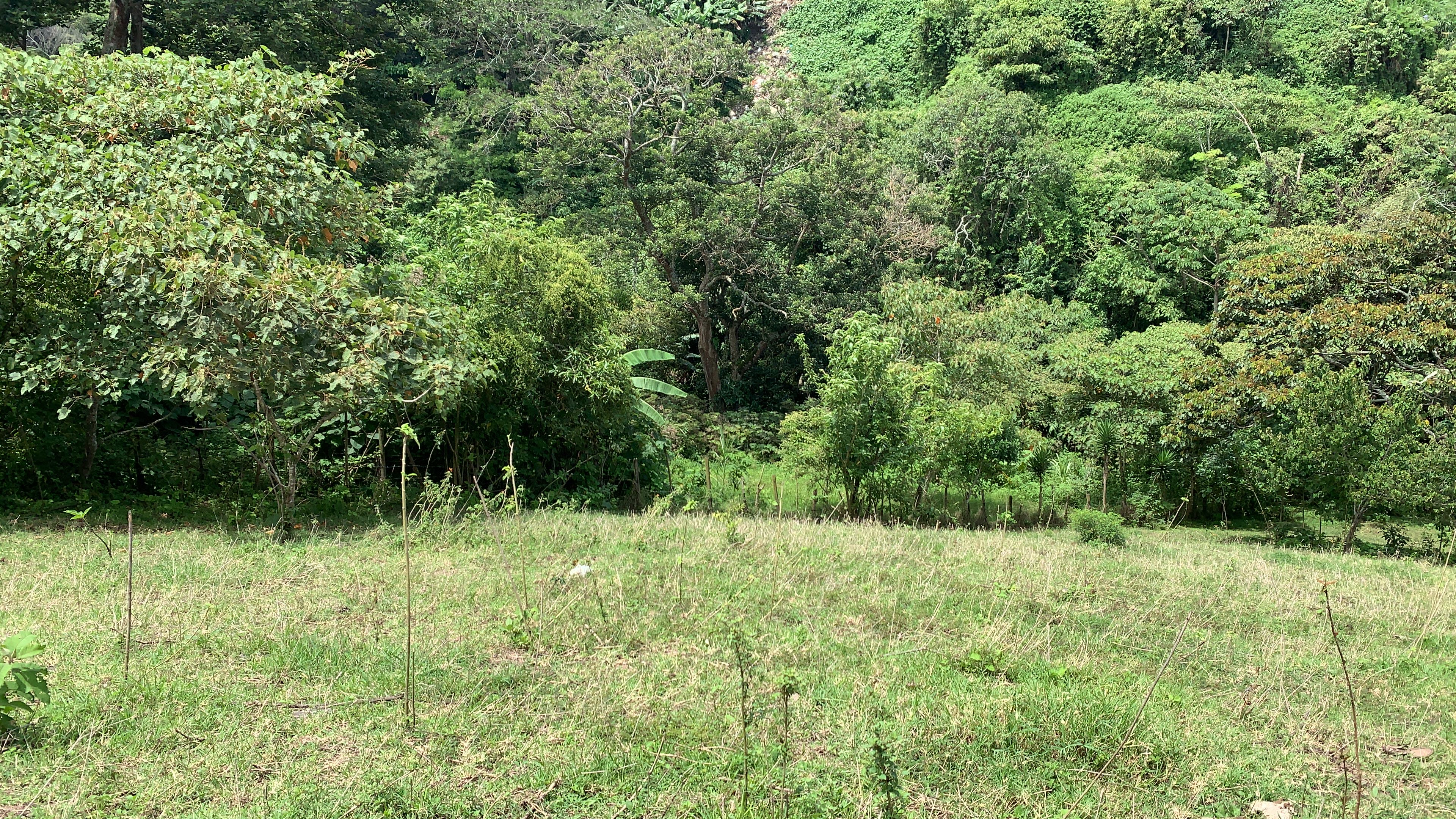 residential development site in guadalupe view 009.jpg