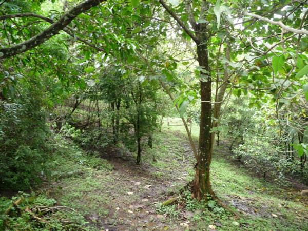 building parcel in alajuela city view 006.jpg