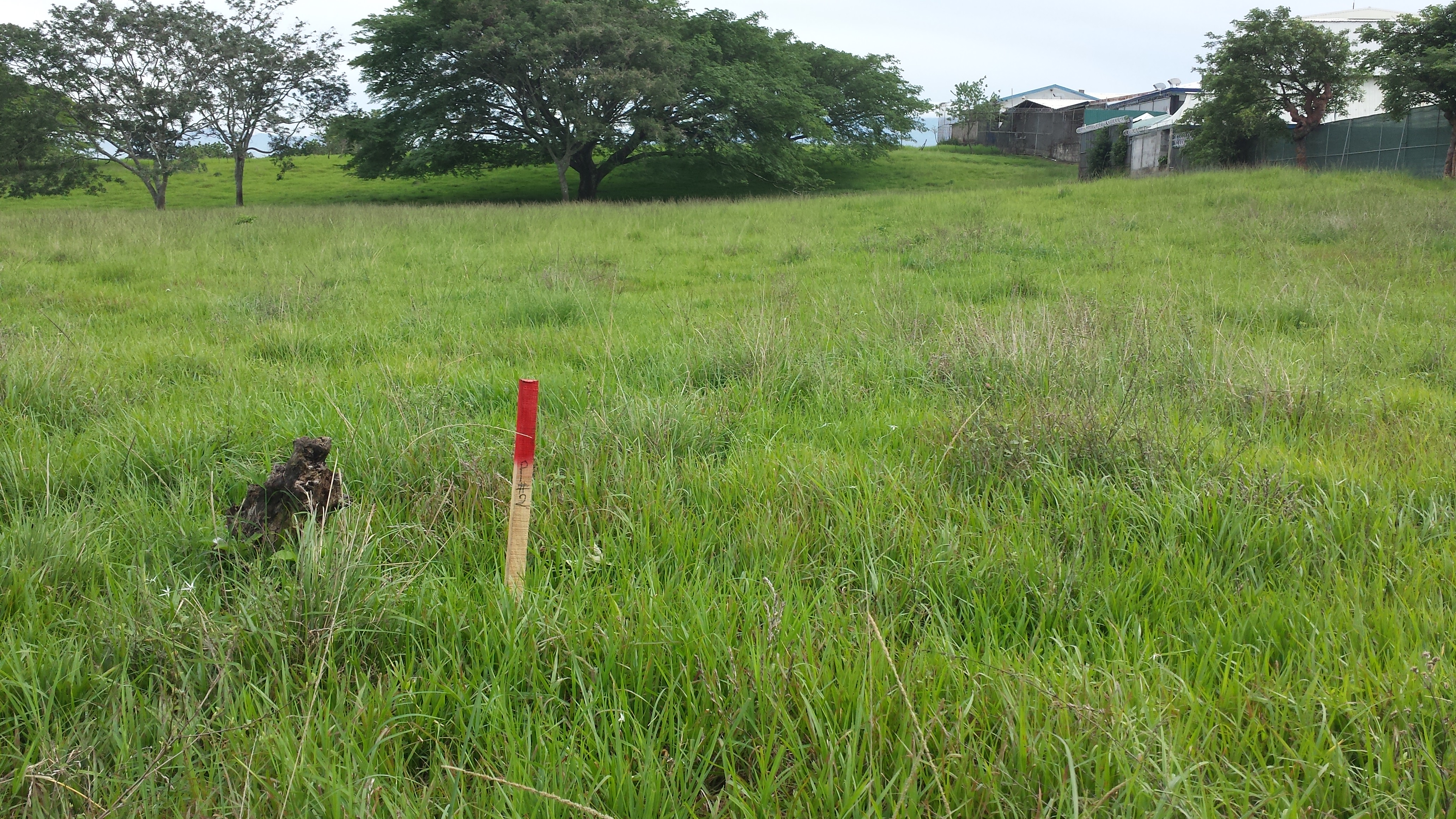 residential development site in alajuela view 004.jpg