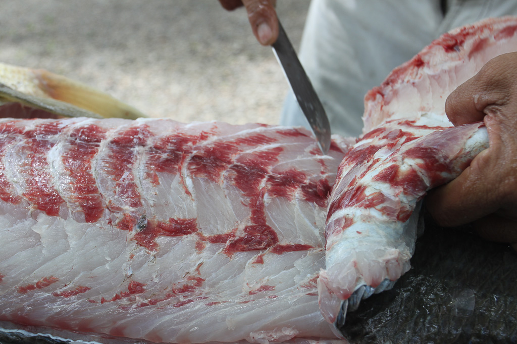 fresh carved seabass colochos 3.jpg
