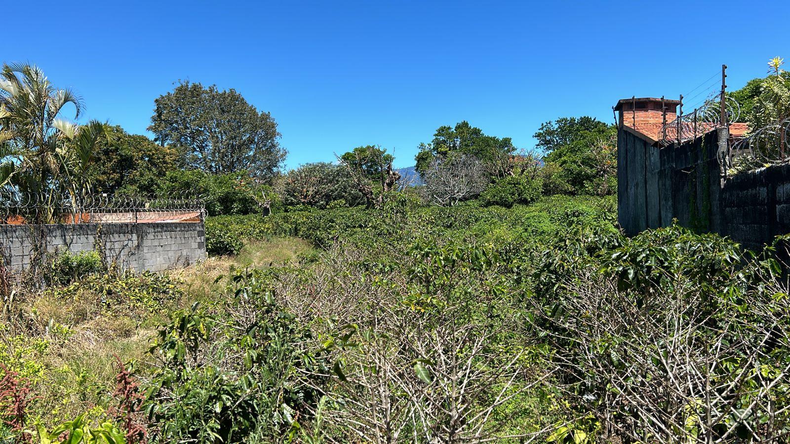 repurpose a coffee farm into a turn key mixed use development complex view 009.jpeg