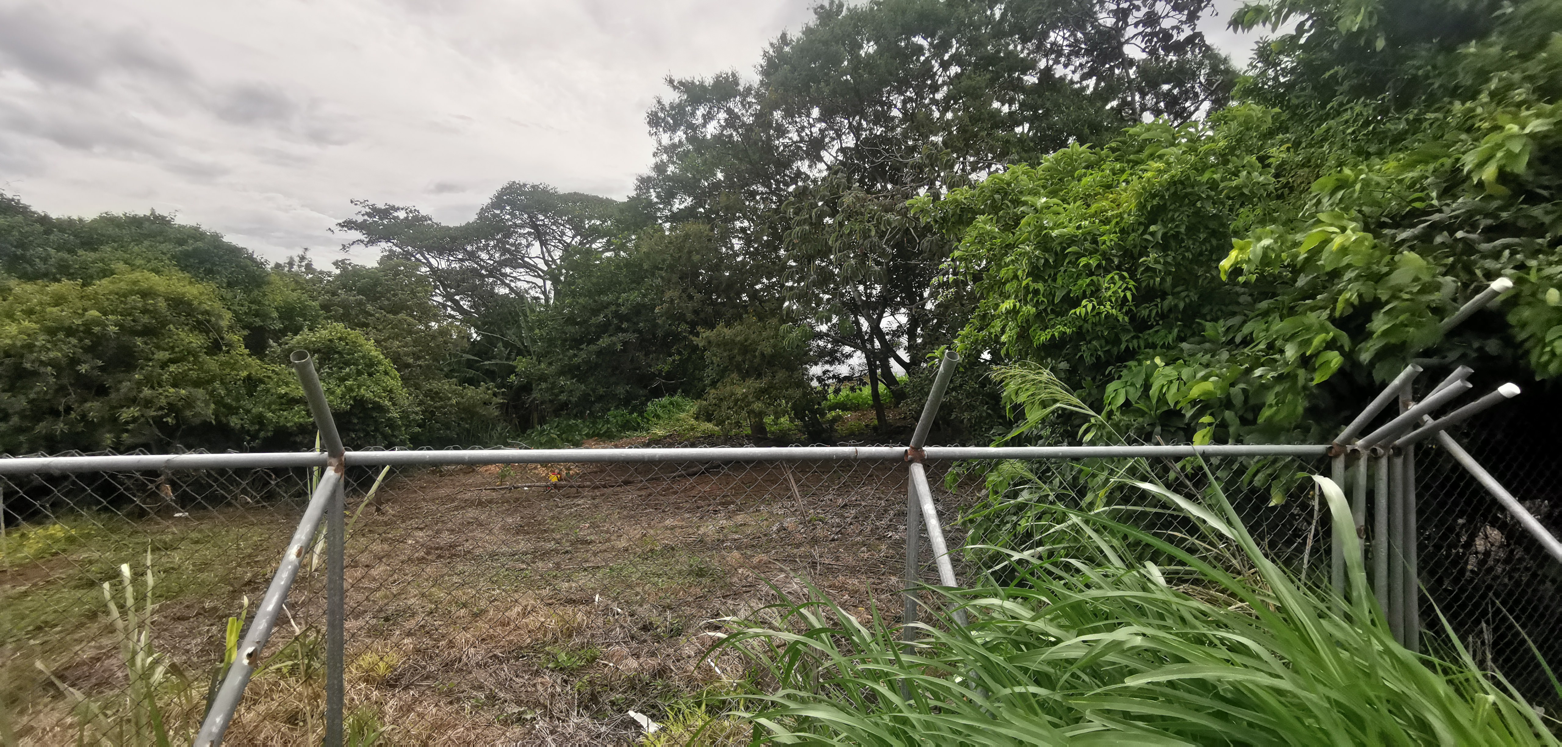 large parcel of land for industrial development in heredia view 008.jpg