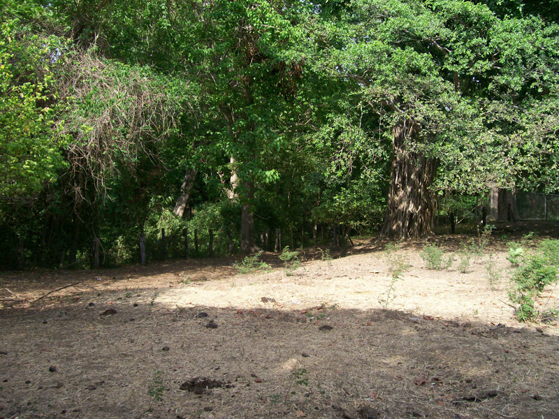 land for development near the beach in guanacaste view 004.jpg