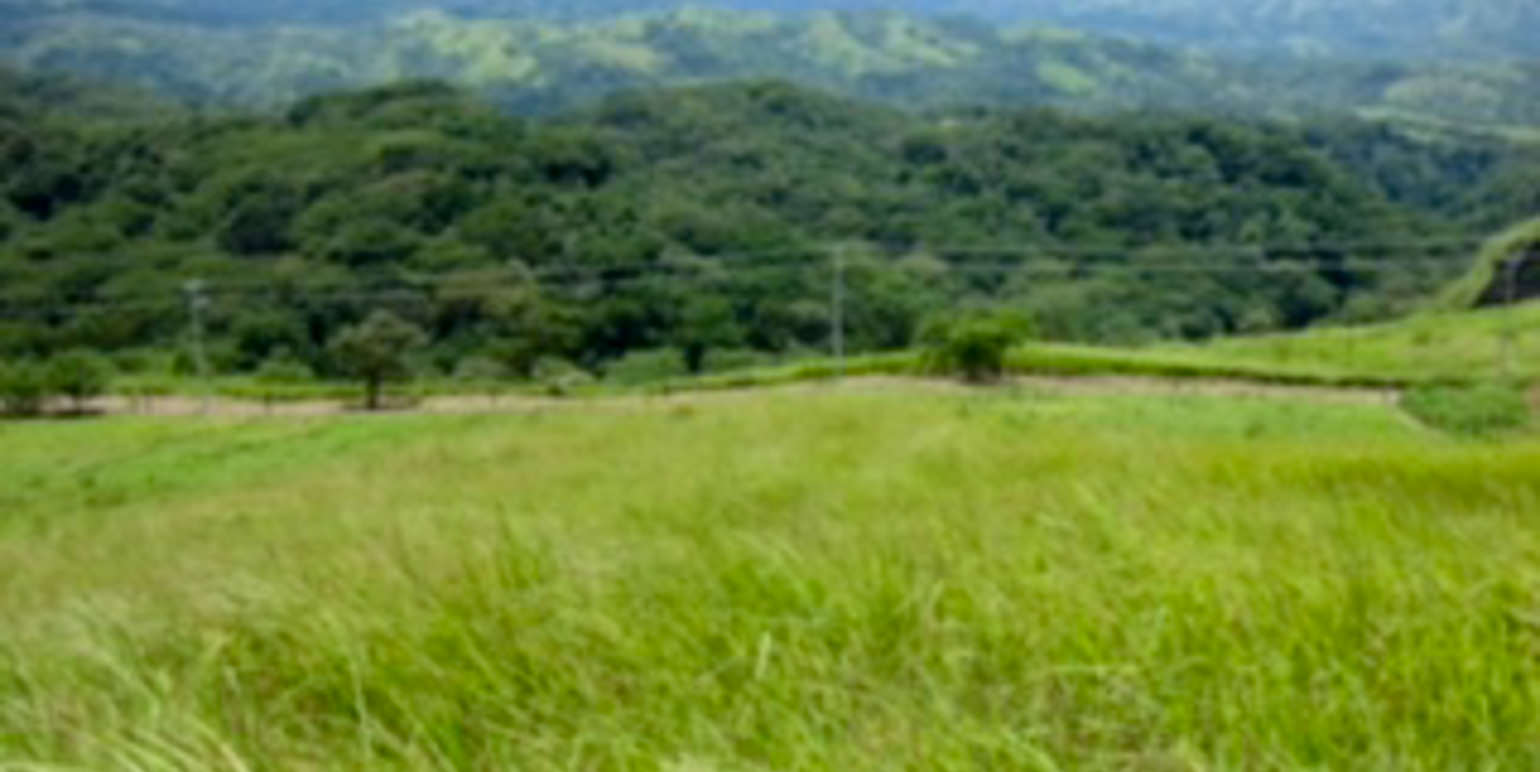 residential parcel with valley views in alajuela view 005.jpg