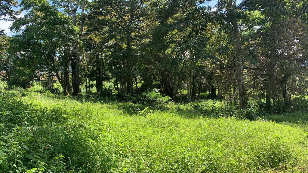 land for residential development in lomas de ayarco view 007.jpg