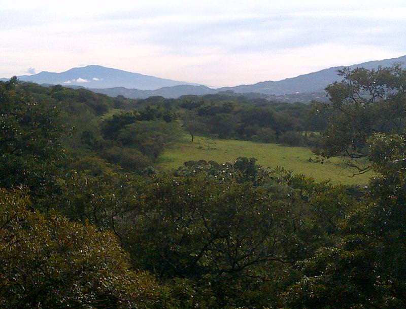 prime land for industrial or commercial development view 002.jpg