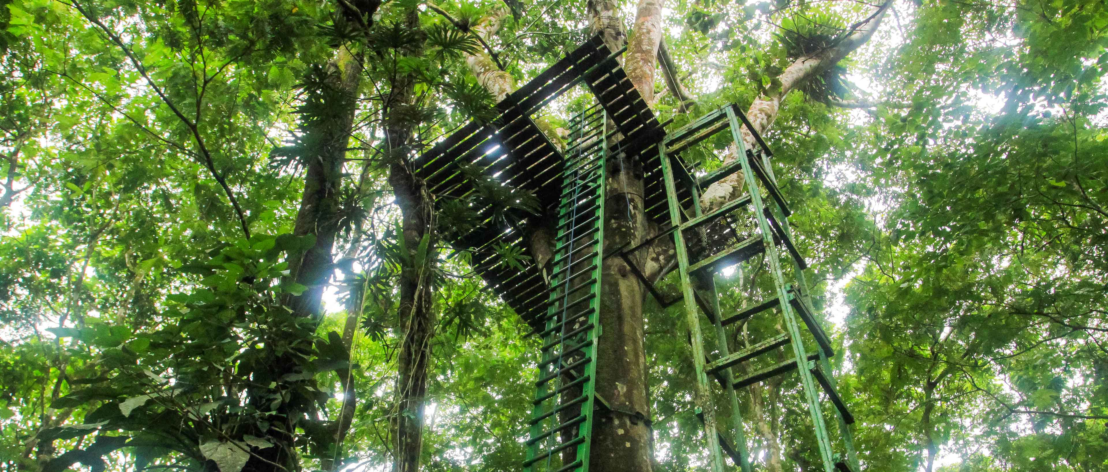 senderos aerios canopy tour 1st platform 2.jpg