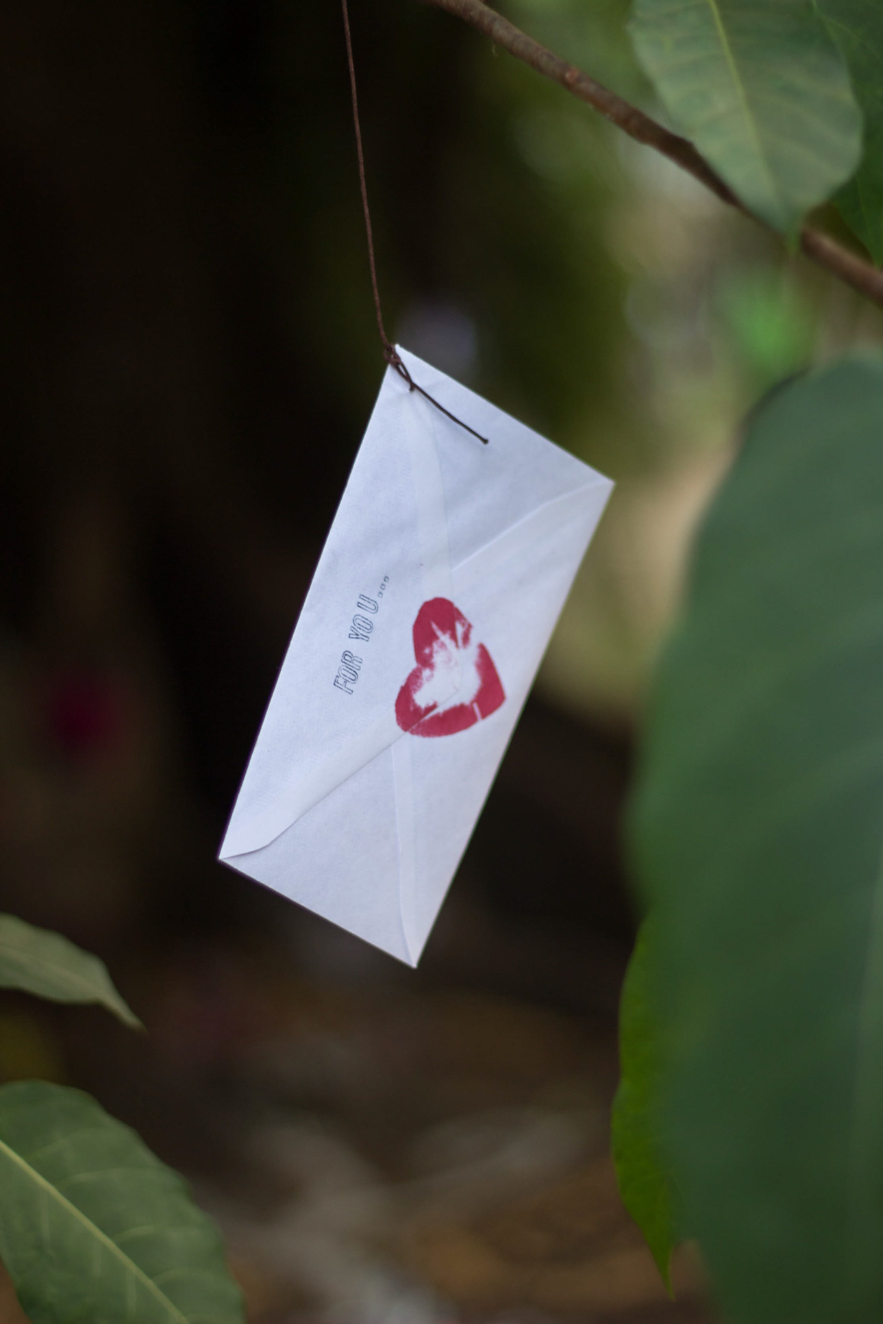 For You Envelope Envision Festival Costa Rica