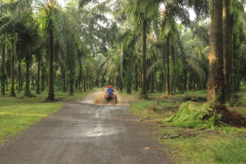 fourtrax other puddle 2.jpg