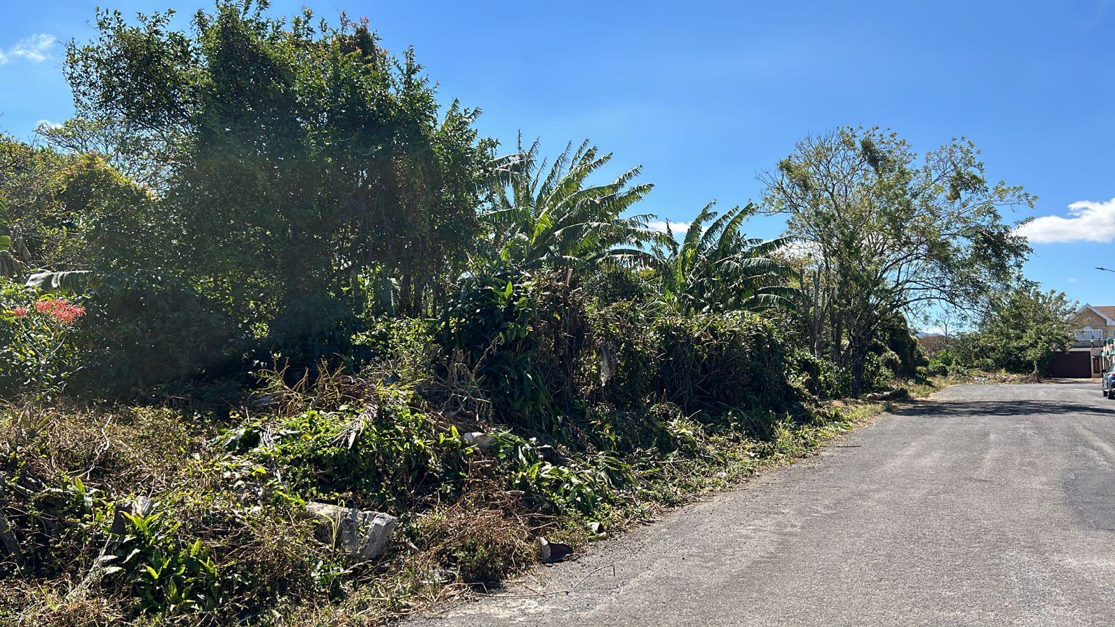 convert coffee farm into a mixed use development complex view 006.jpeg