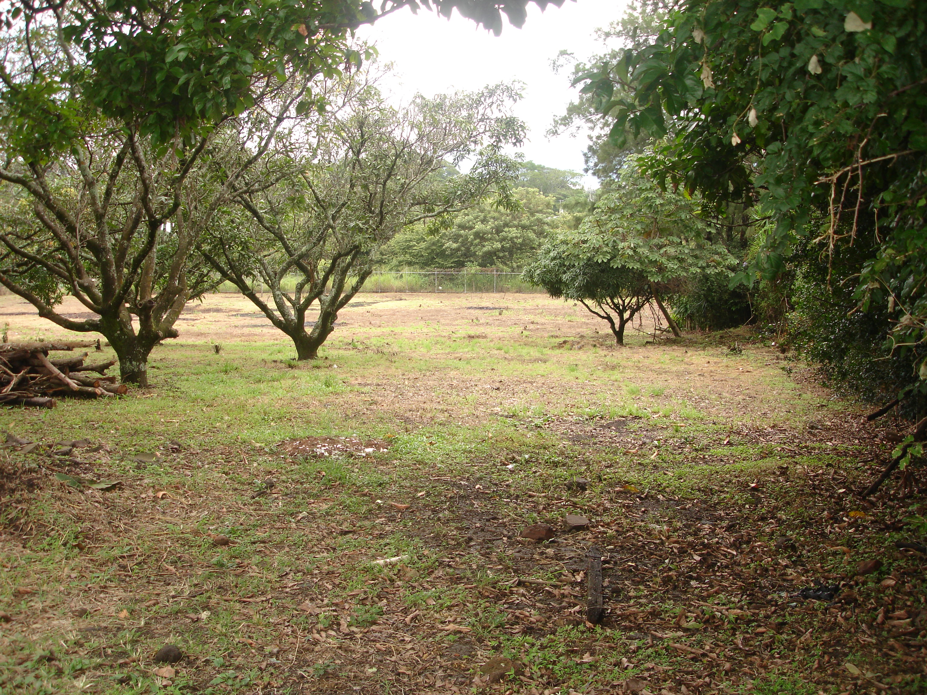 land for commercial or industrial development in alajuela view 005.jpg