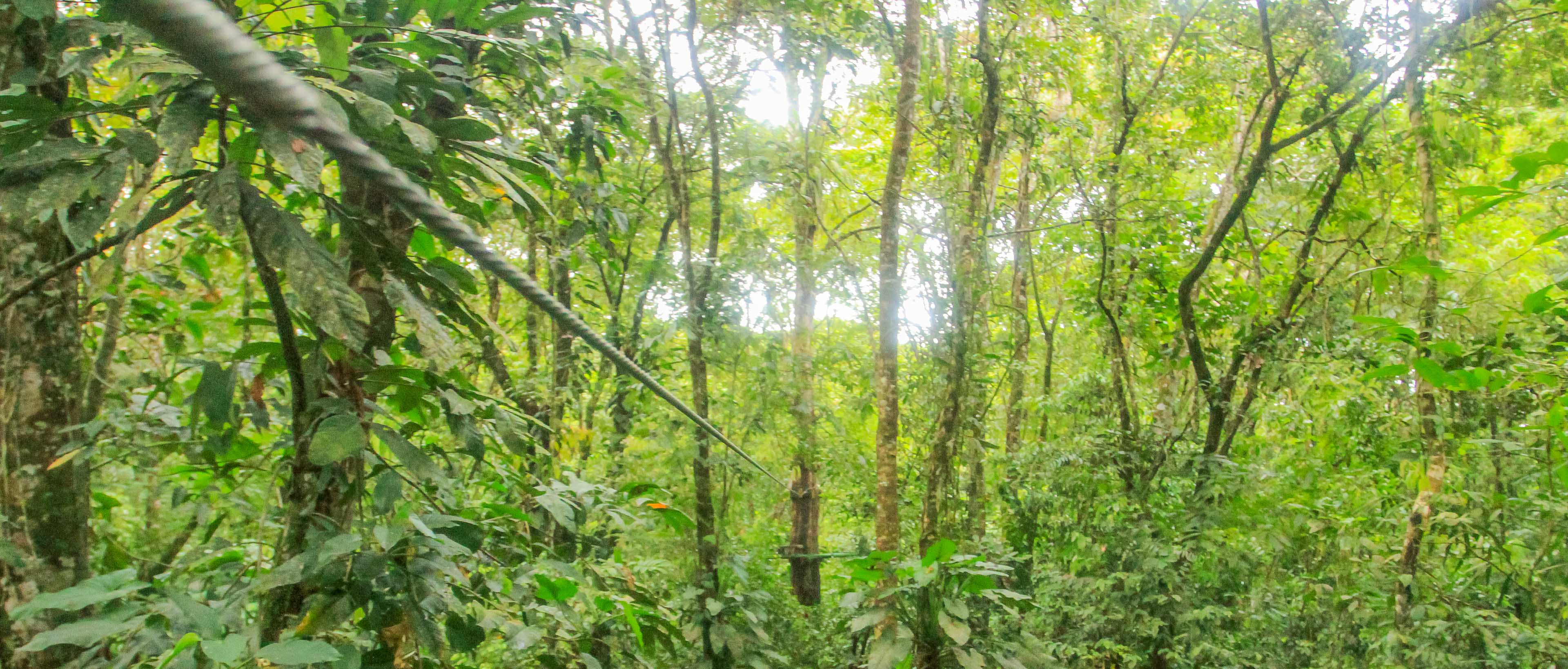 senderos aerios canopy tour zipline 5.jpg