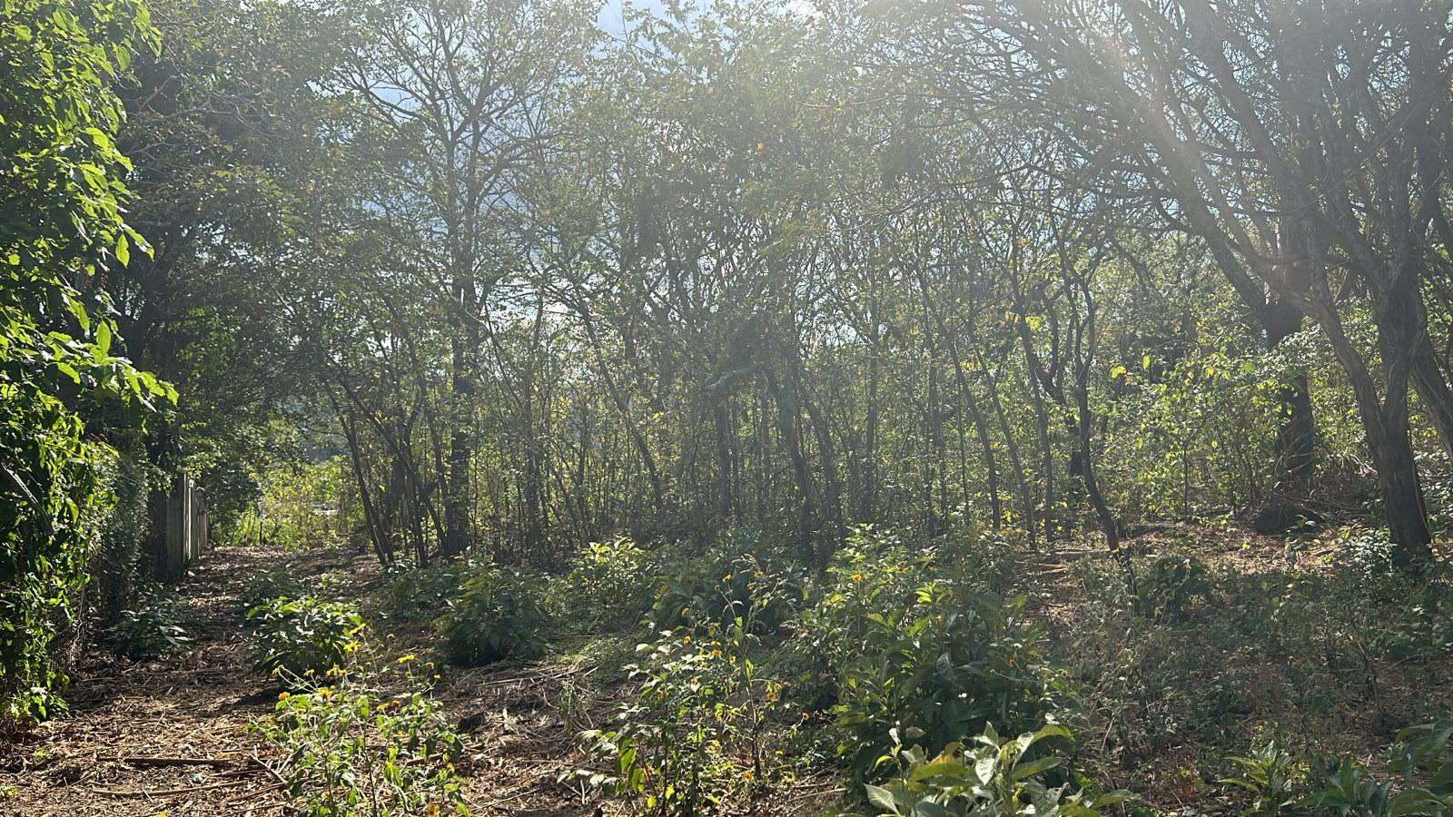 santa ana route 27 frontage 8 8 acre parcel buy one or all three parcel view 017.jpeg