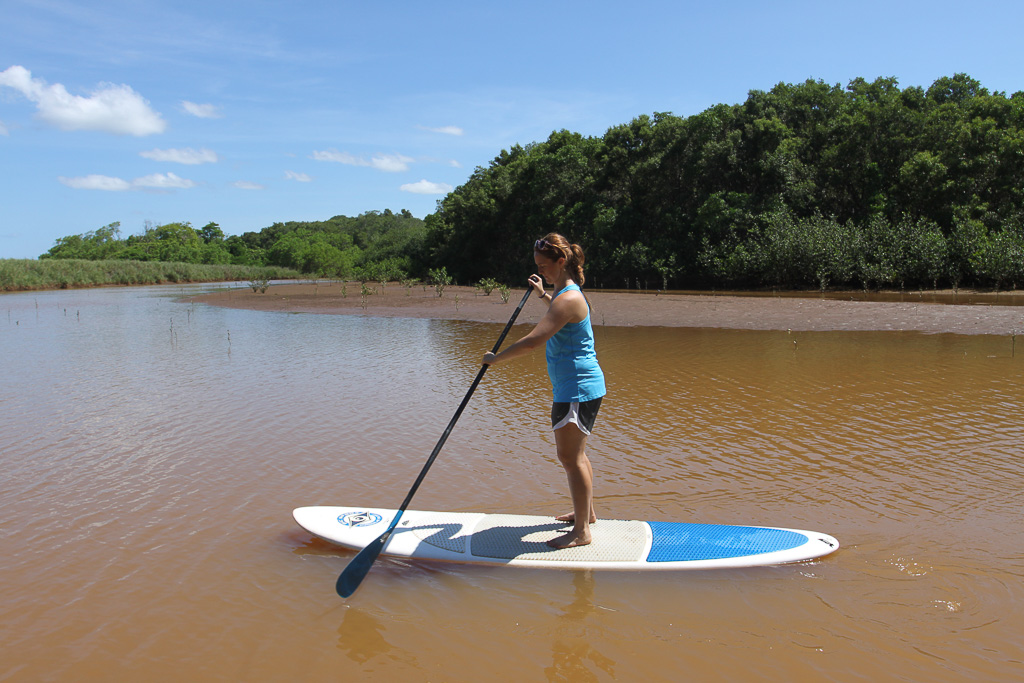 stand up in action2.jpg