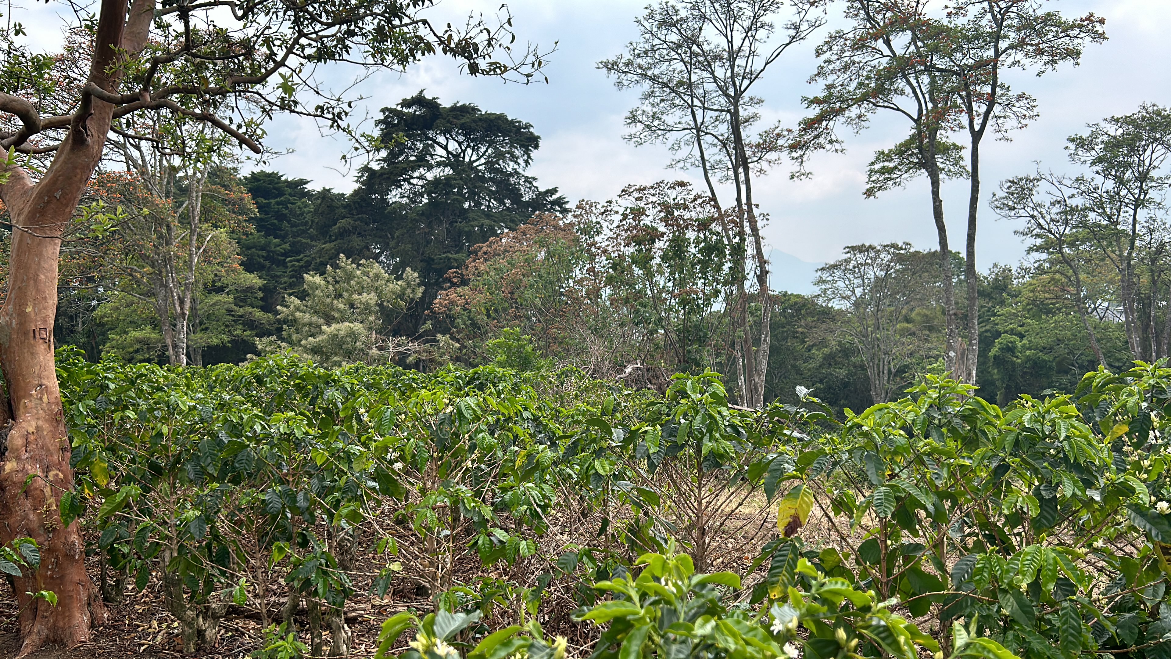 cul de sac residential development lot view 027.jpg