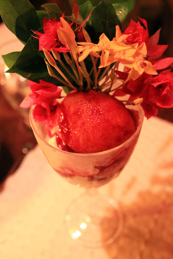 exotica cool passion sorbet 6.jpg