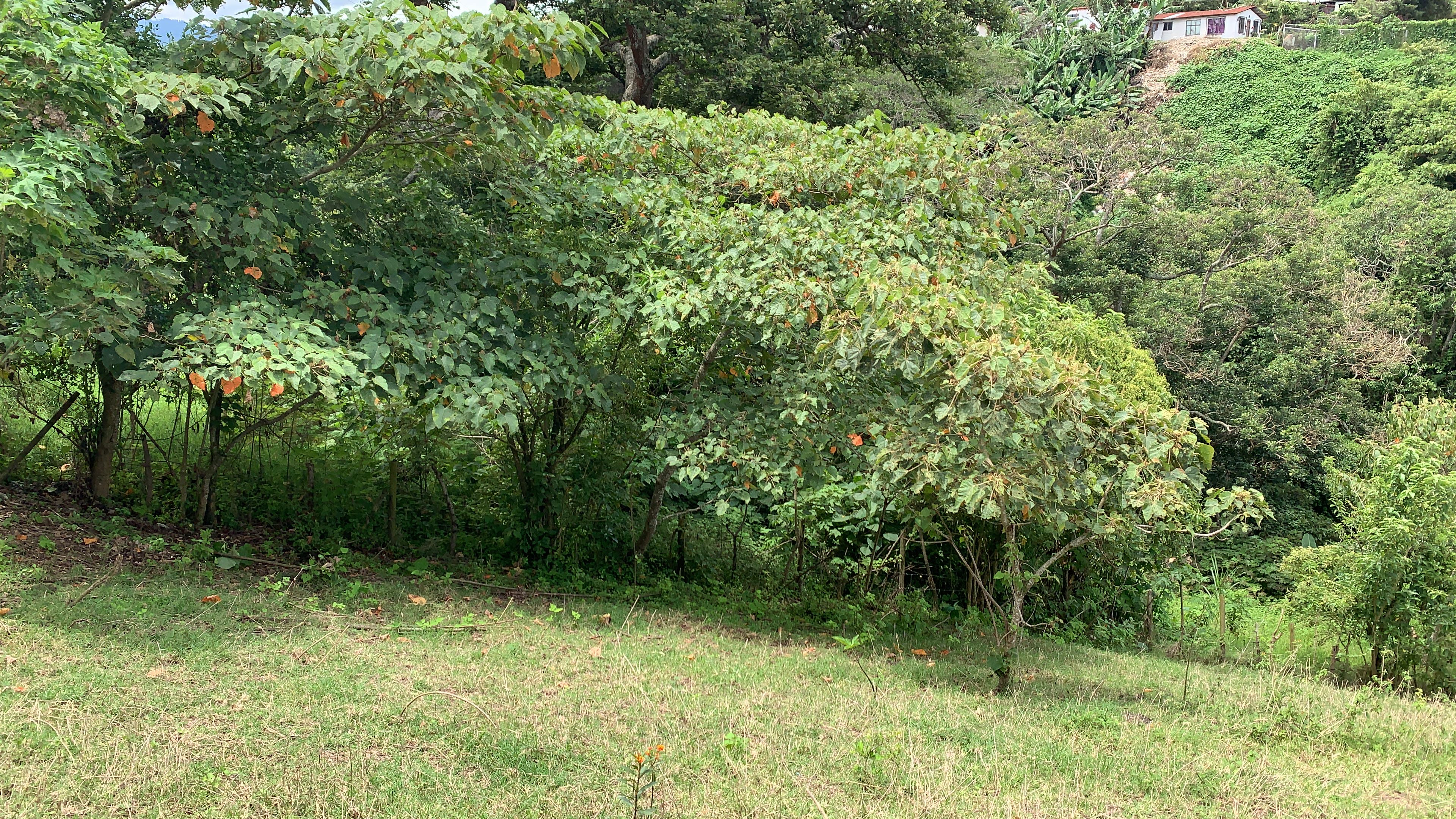 residential development site in guadalupe view 008.jpg