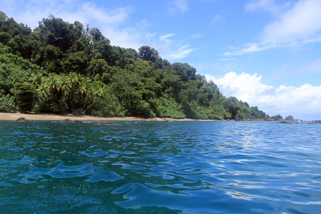 dominical surf dive snorkel cano closeup 5.jpg