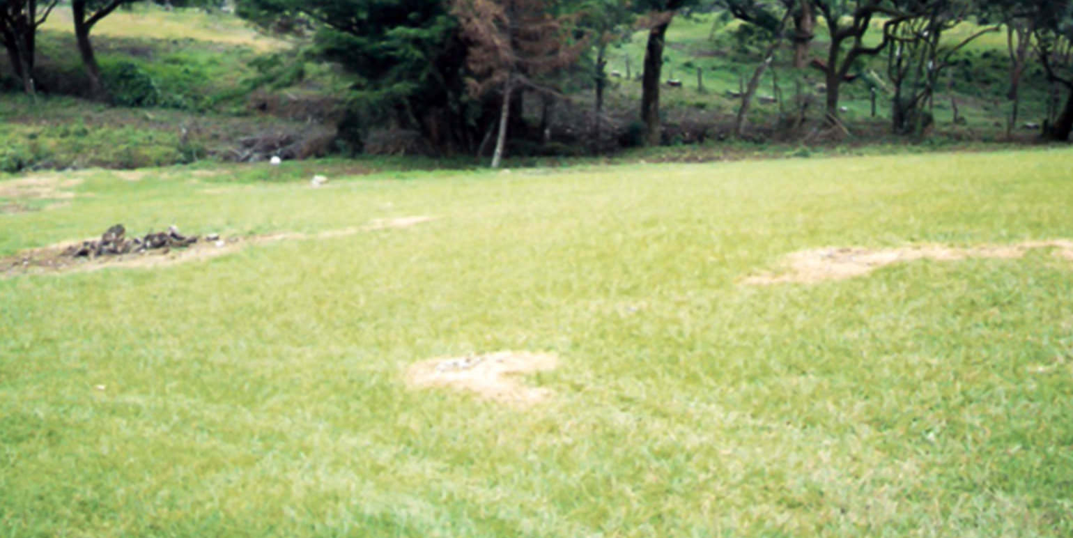rectangular shaped lot for development view 002.jpg