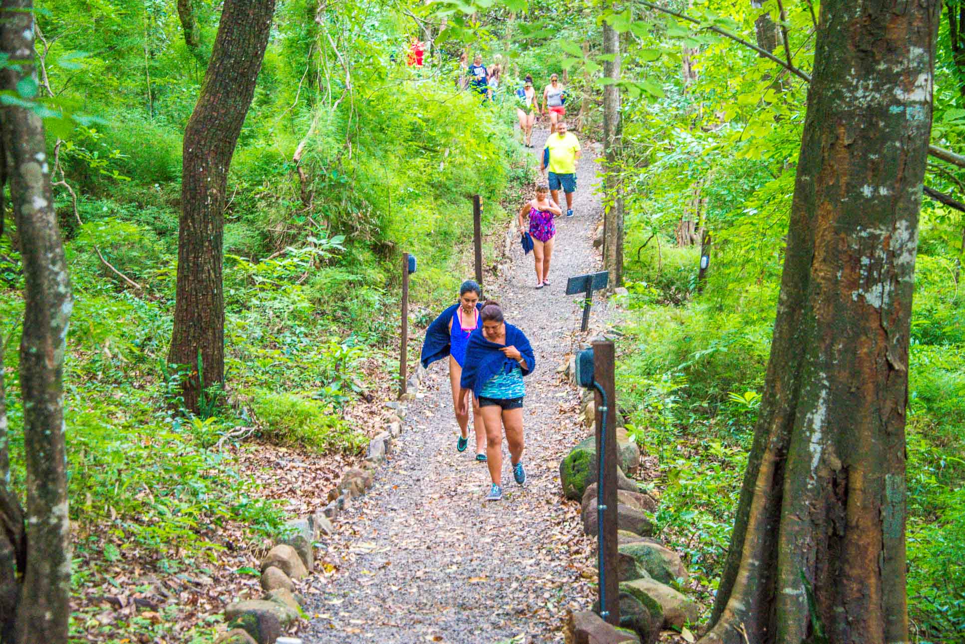Trail Entrance Hot Springs Pools Rincon De La Vieja