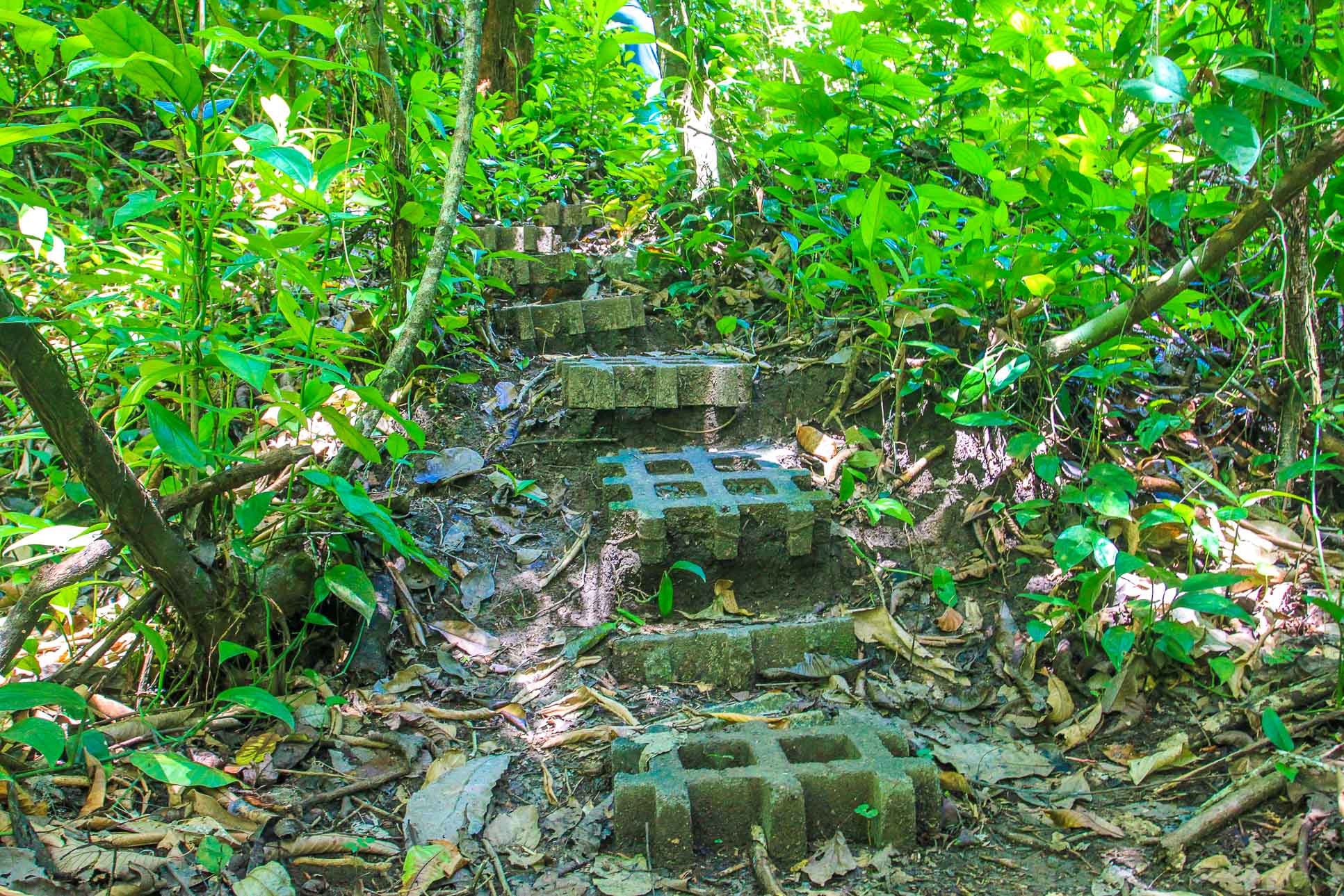 Trail Steps