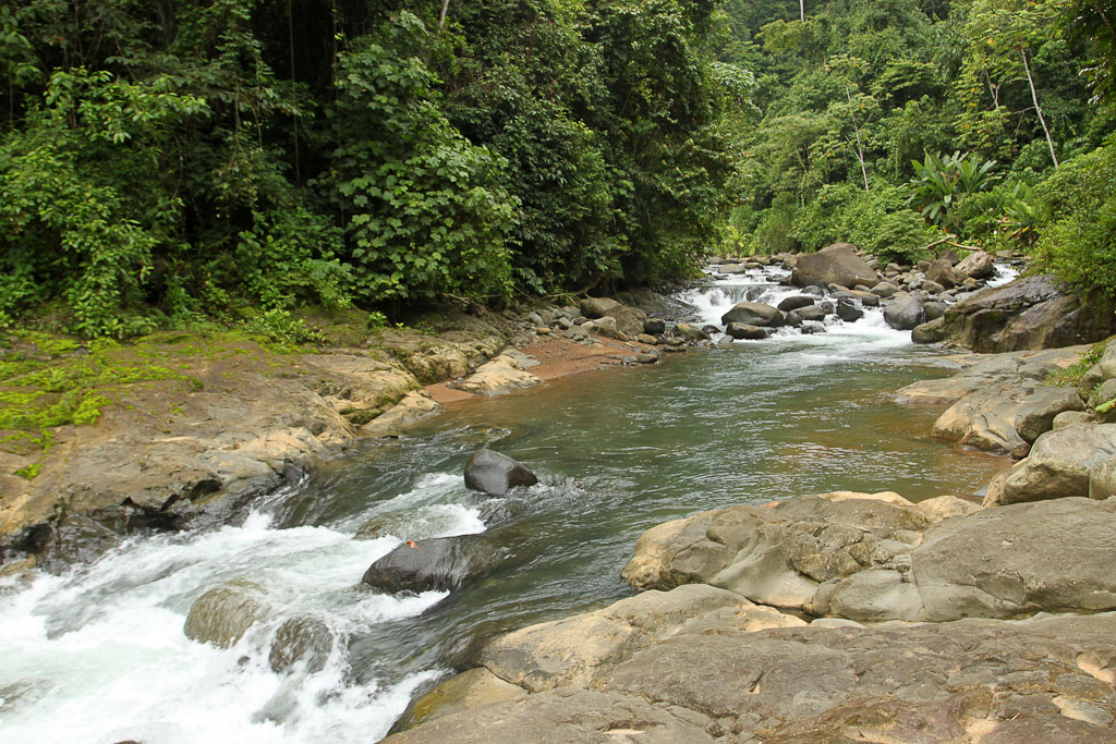 bamboo forest moutain bike tour upstream 7.jpg