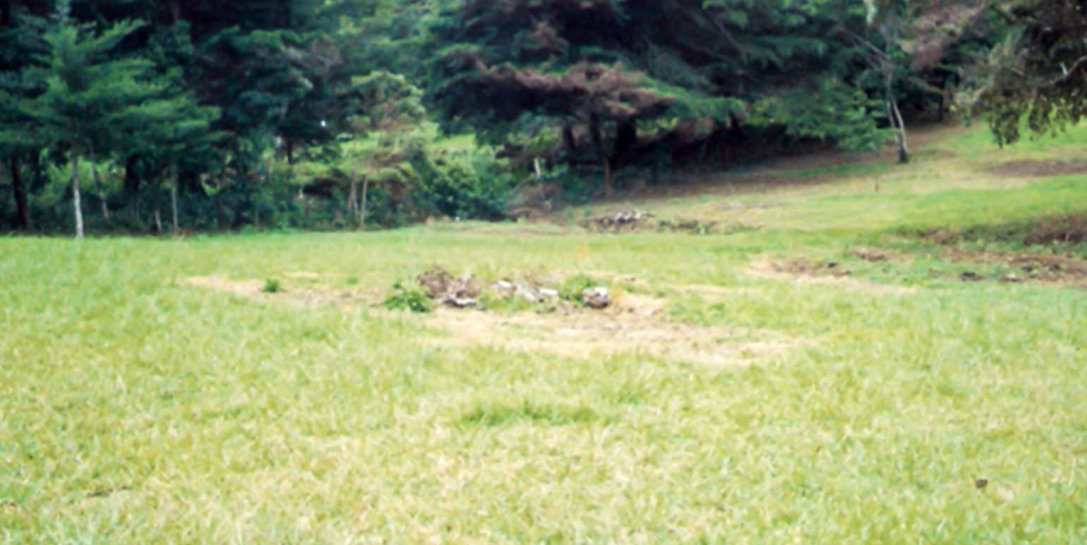 rectangular shaped lot for development view 007.jpg