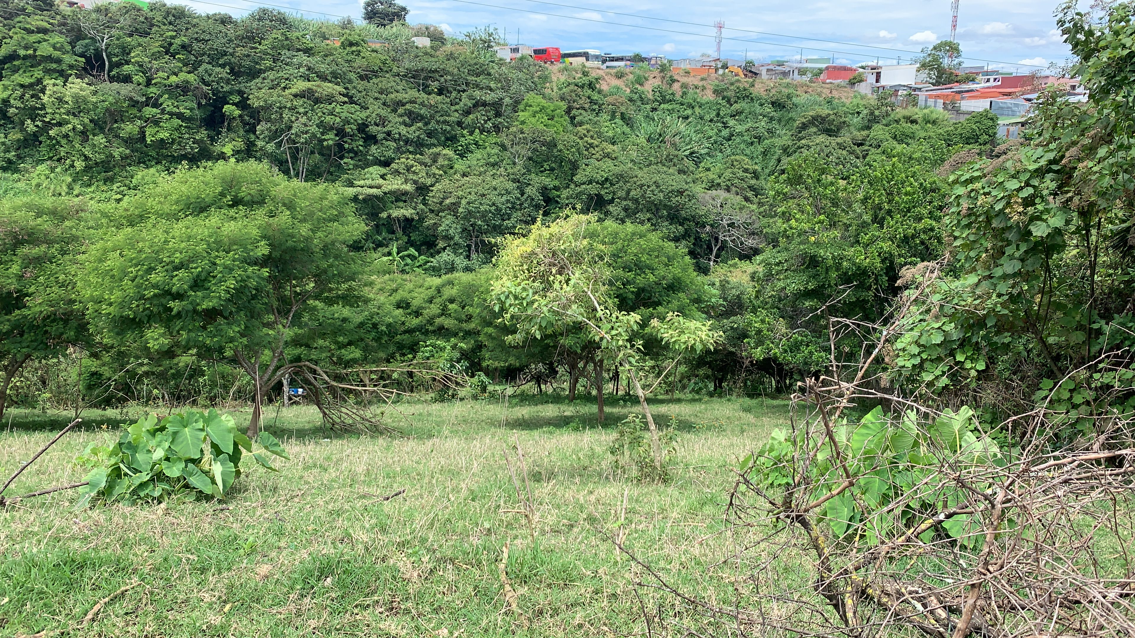 residential development site in guadalupe view 002.jpg