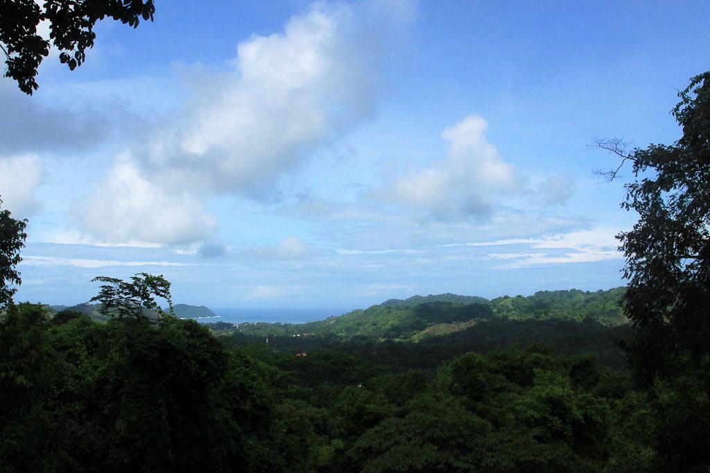 los suenos canopy view 4.jpg