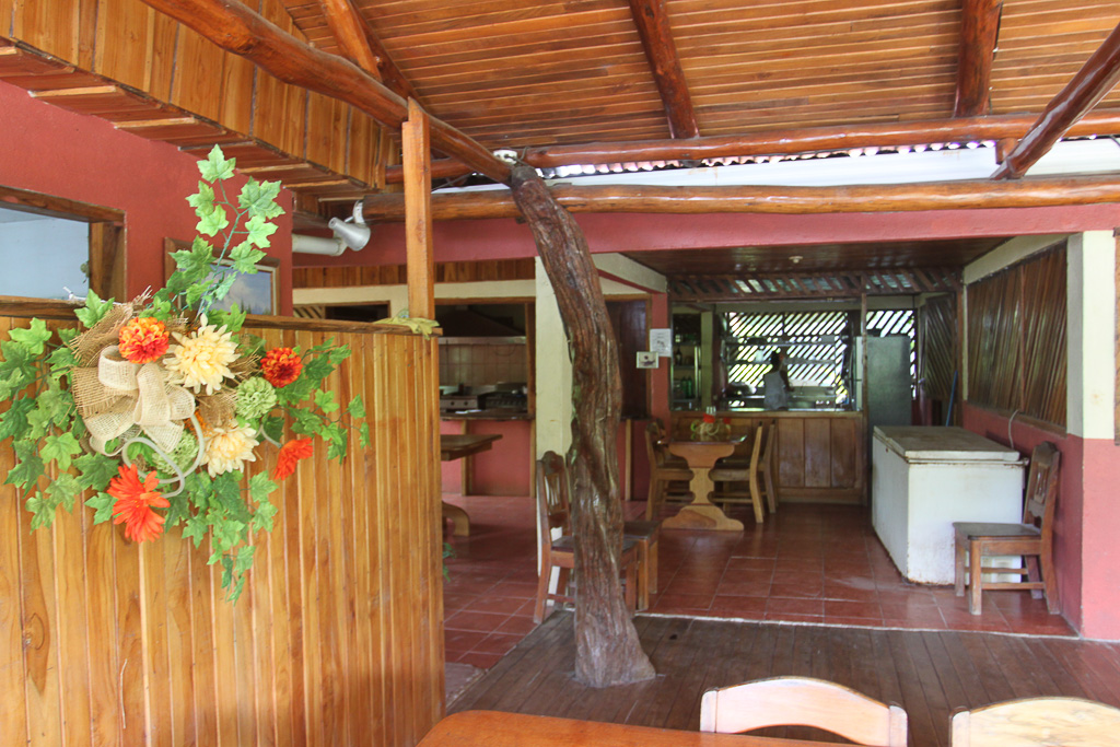flowers interior la cocina dona ana 3.jpg
