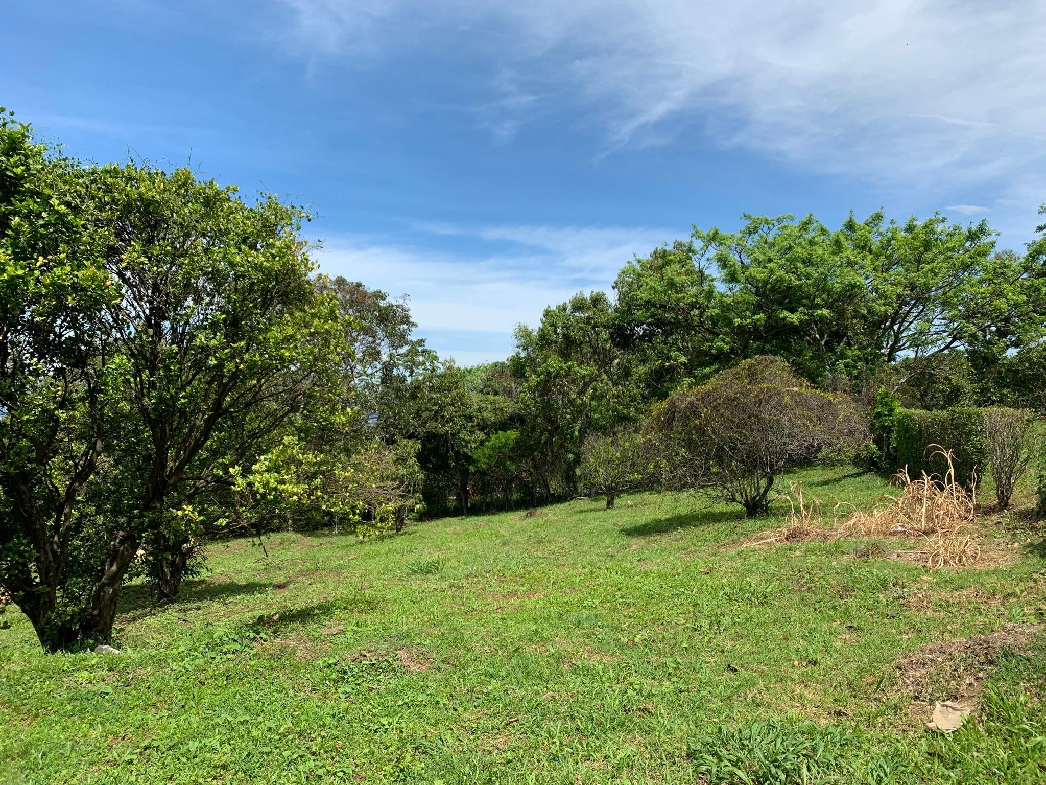 adjacent lots available in up in the hills of heredia buy one or all view 005.jpeg