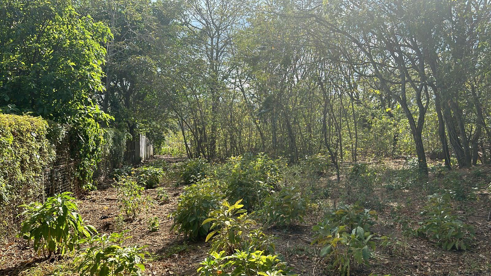 santa ana route 27 frontage 8 8 acre parcel buy one or all three parcel view 014.jpeg