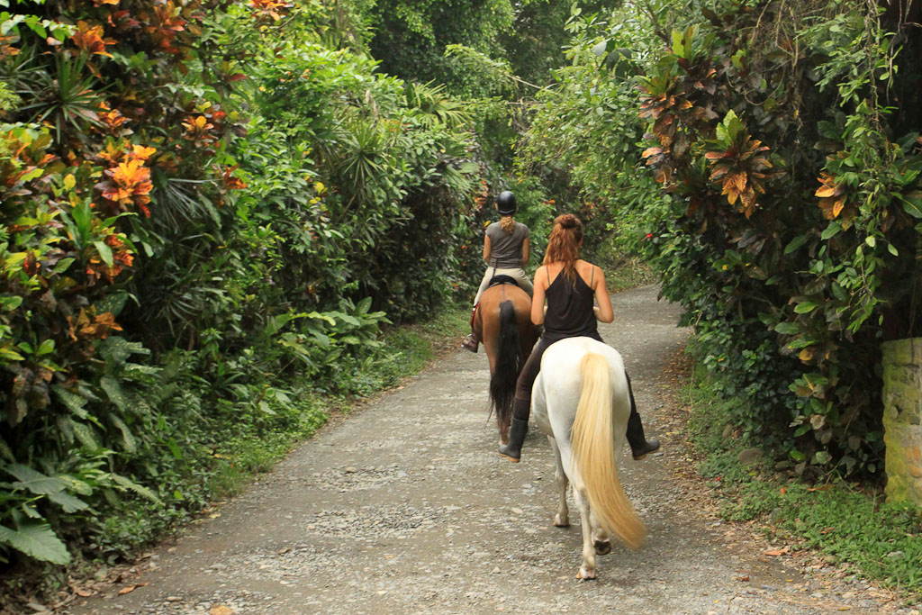 jungle beach horseback tour dirt road 4.jpg
