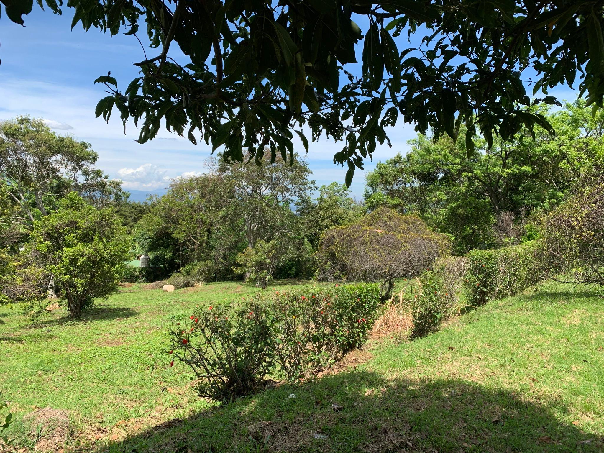 adjacent lots available in up in the hills of heredia buy one or all view 008.jpeg