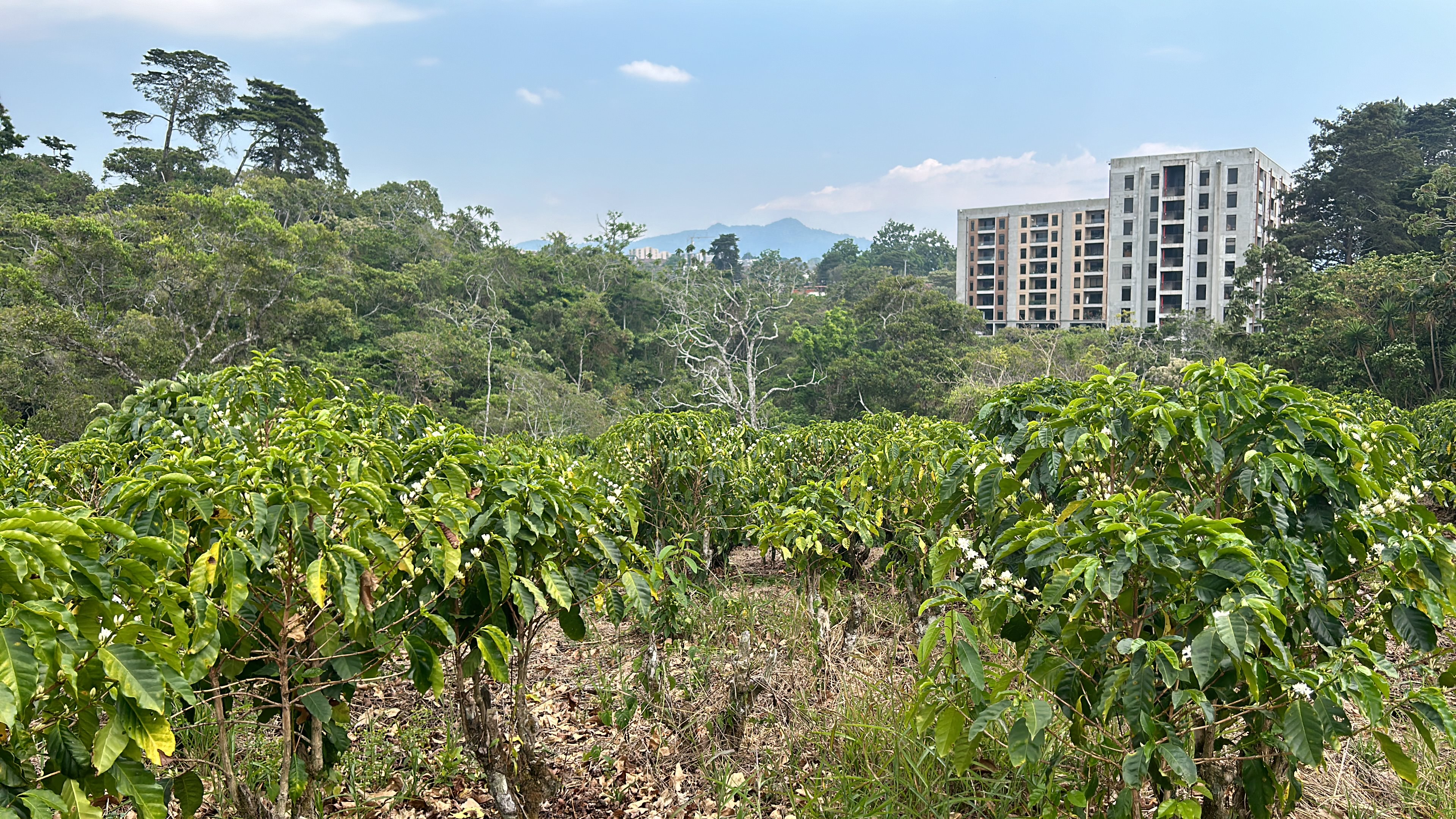 cul de sac residential development lot view 021.jpg